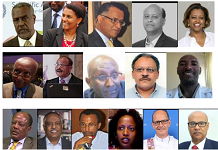 Ethiopia unveils independent economic advisory members