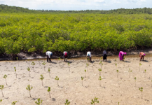 Pay enough for rural small-scale farmers IFAD boss urges